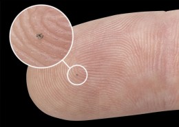 Implant cochléaire découpé par électro-érosion à fil réalisé la société VUICHARD SAS.